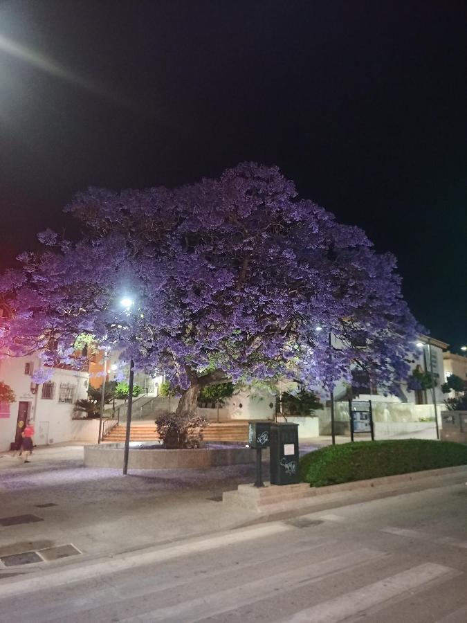 Sweet Home Benalmadena, Estudio Con Vistas Al Mar Y Excelente Conexion Wifi, Para No Fumadores, Con Piscinas, Sea Views, With Swimming Pools, Completely Renovated, Ideal For Older People, Bright With Morning Sun, No Smoking Экстерьер фото